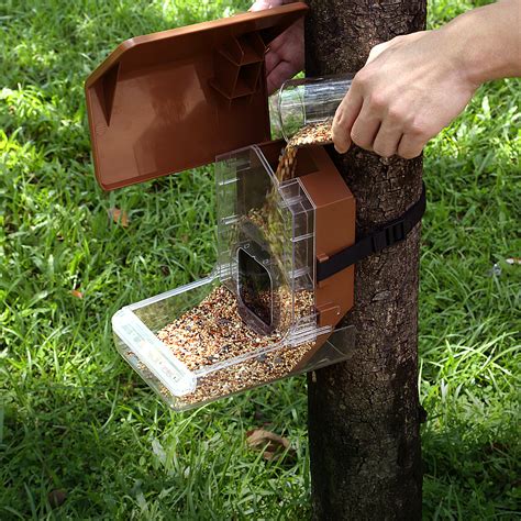 bird feeder camera case